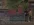 ss10-2.webp