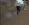 Скриншот 07-04-2026 150028.webp