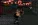1775680913858.webp
