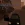 1775766045687.webp
