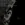 15.webp