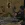 ш8.webp