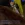ш30.webp