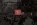 few11.webp