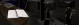 bar12.webp