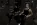 bar20.webp
