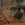 2026-04-24-02-55-14 копия.webp