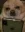 1777100451264.webp