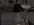 Без имени-1.webp
