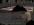 Без имени-4.webp