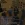 37.webp