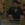 39.webp