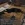 52.webp