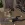 63.webp