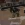 64.webp
