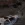 65.webp