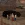 1777215521958.webp
