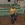 2026-04-27-19-54-29.webp