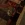 2026-04-28-19-21-51.webp