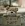 1777469835576.webp