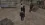 2026-04-30-01-11-06.webp