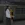 2026-04-30-01-55-21.webp