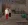 2026-04-03-01-16-07 копия.webp