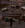 4.webp