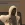 2026-05-01-22-09-23.webp