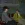 2026-05-02-01-07-25.webp