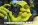 1777706959437.webp