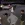 wz9.webp