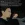 2026-05-03-00-59-29.webp