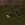 1777811678330.webp