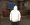 Скриншот 03-05-2026 205536.webp