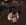 1777922011516.webp