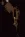 1777923093861.webp