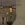 2026-05-05-23-17-04.webp