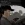 2026-05-06-17-51-22.webp