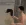 2026-05-08-01-11-22 копия.webp