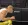 2026-05-05-23-17-21 копия.webp