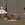 8.webp