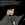 2026-05-10-22-39-28.webp