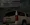 a2.webp