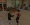 a11.webp