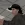 2026-05-11-21-16-51.webp
