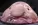 1778534340420.webp