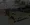 7.webp