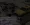9.webp