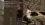 груз200.2.webp